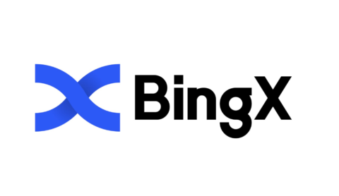bingx-referral-code
